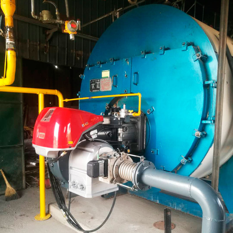 山東龍華生物股份有限公司低氮燃燒器改造