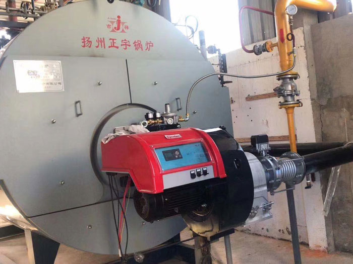 派諾尼奧低氮燃燒器