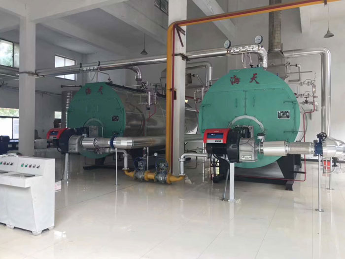 派諾尼奧低氮燃燒器