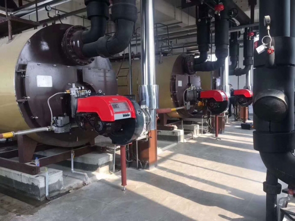 派諾尼奧低氮燃燒器